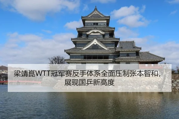 梁靖崑WTT冠军赛反手体系全面压制张本智和，展现国乒新高度