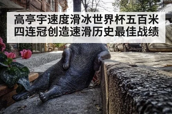 高亭宇速度滑冰世界杯五百米四连冠创造速滑历史最佳战绩