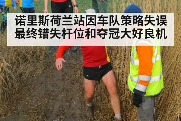 诺里斯荷兰站因车队策略失误最终错失杆位和夺冠大好良机